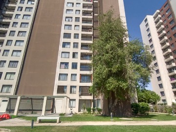 Imagen 17