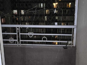 Imagen 2