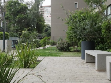 Imagen 11