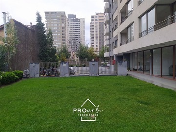 Imagen 19