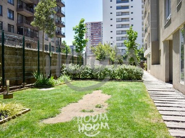 Imagen 15