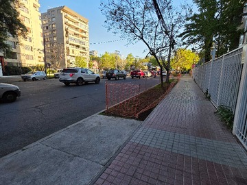 Imagen 23