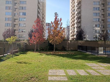 Imagen 14