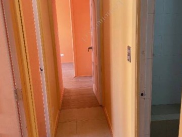 Imagen 9