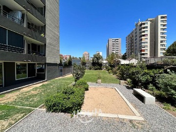 Imagen 15
