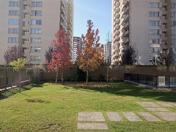 Imagen 13