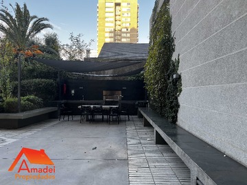Imagen 11