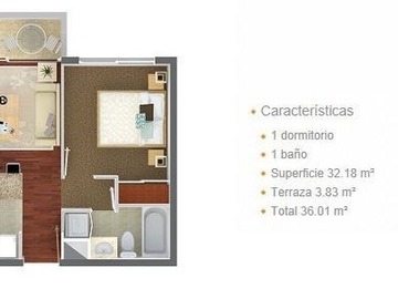 Imagen 9