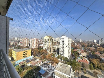 Imagen 7