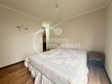 Imagen 11