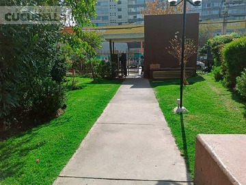 Imagen 31