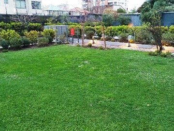 Imagen 21
