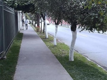 Imagen 10