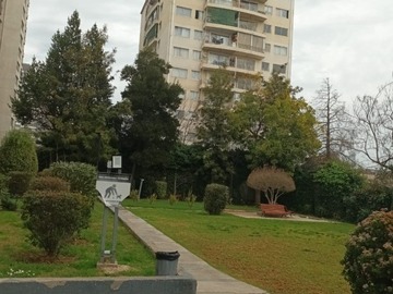 Imagen 16