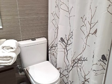 Baño suite