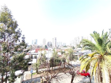 Imagen 5