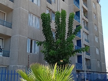 Arriendo Mensual / Departamento / San Miguel