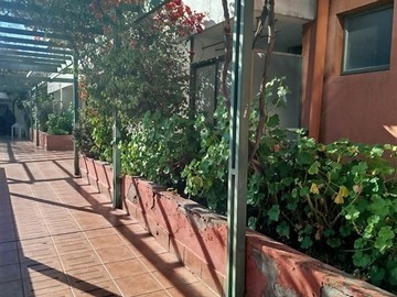 Imagen 32