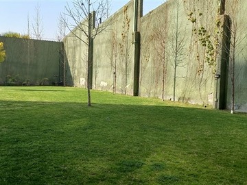 Imagen 21