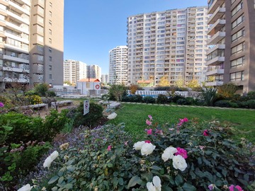 Imagen 21