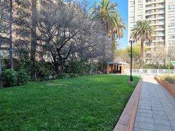 Imagen 30