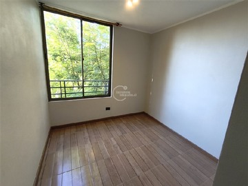 Imagen 6