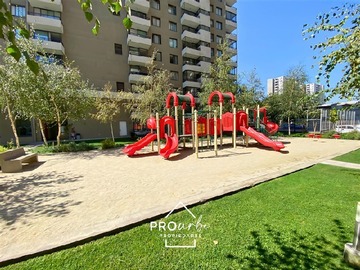 Imagen 19