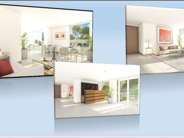 Imagen 6