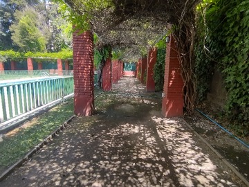 Pergola
