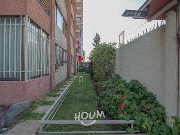Imagen 29