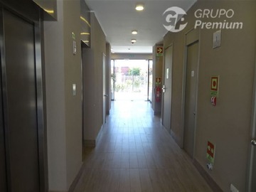 Imagen 14