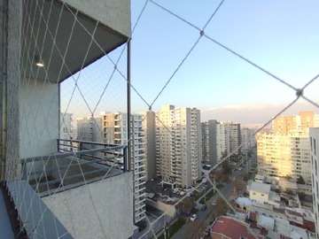 Imagen 5
