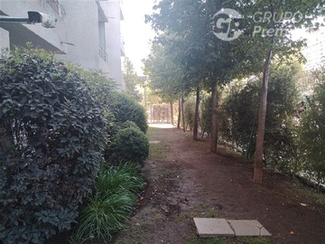 Imagen 22