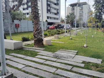 Imagen 13