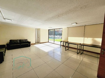 Imagen 11