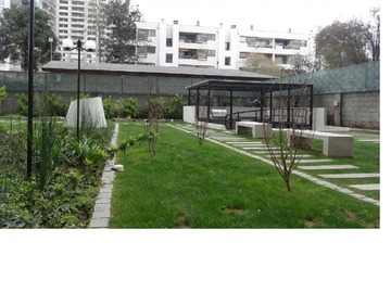 Imagen 13