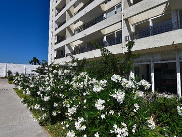 Arriendo Mensual / Departamento / San Miguel