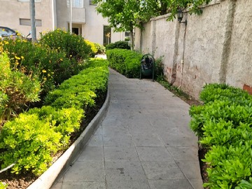Imagen 15