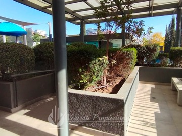 Imagen 15