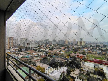 Imagen 5