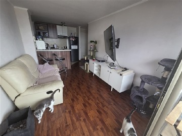 Arriendo Mensual / Departamento / San Miguel