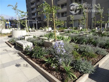 Imagen 12