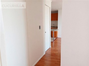 Imagen 7