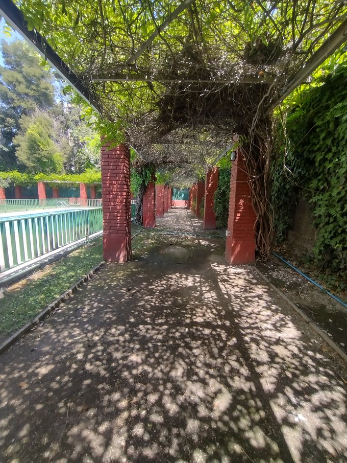 Pergola