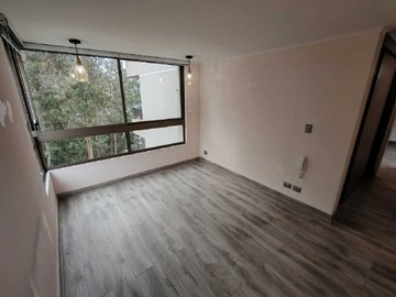 Imagen 15