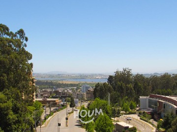 Imagen 6