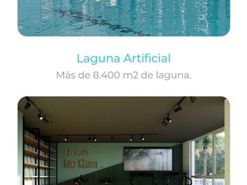 Imagen 8