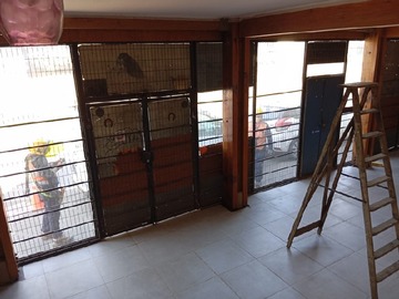 Imagen 7