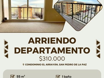 Arriendo Mensual / Departamento / San Pedro de la Paz