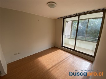 Imagen 11